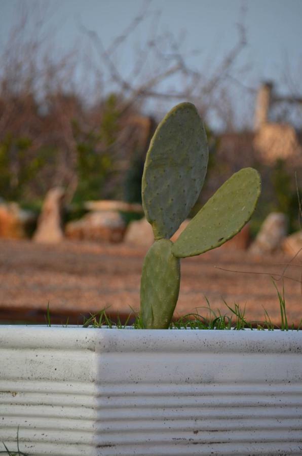 Masseria Poli Country House 孔韦尔萨诺 外观 照片